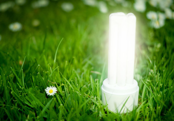 portfolio-eco-image-1